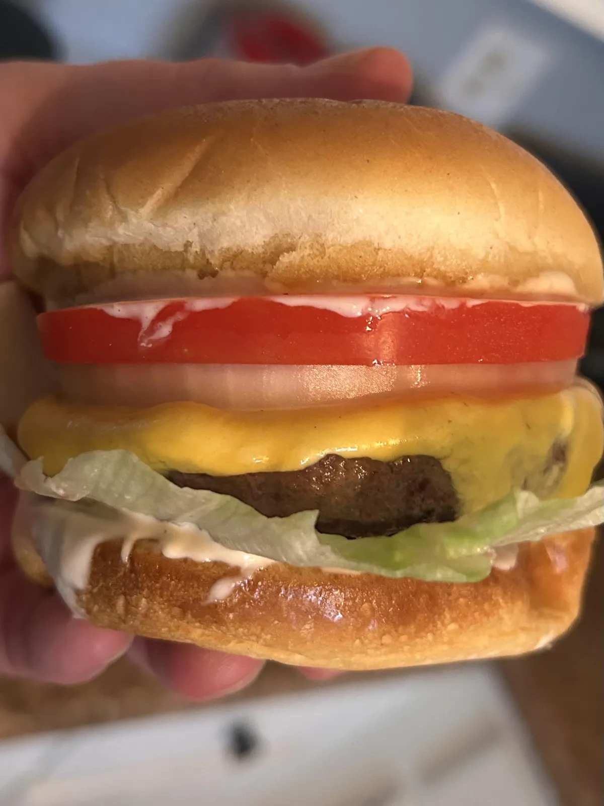 [Homemade] My Simple Cheeseburger