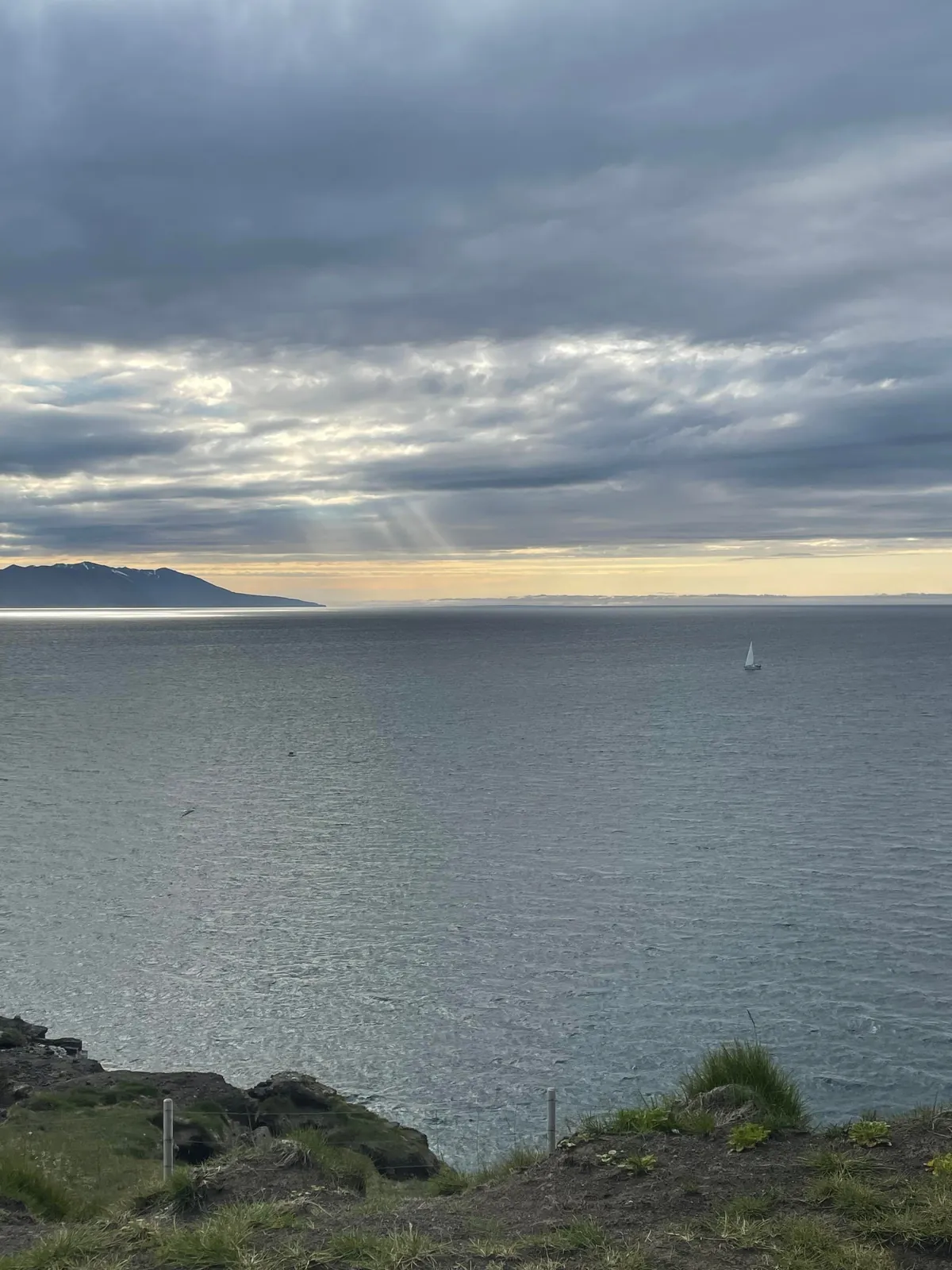 Whale Watching in the Midnight Sun in Húsavík, Iceland (June 2025)
