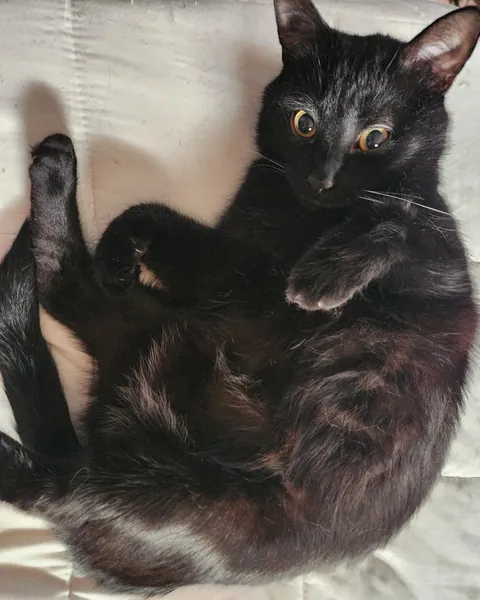 is it weird that i call him my son