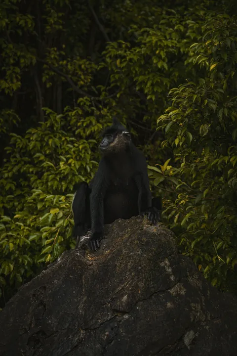 My favorite shots from my trip around Vietnam