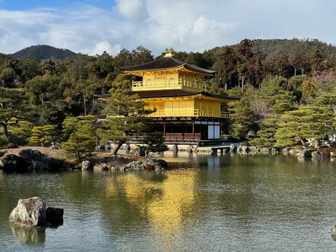 Japan, you were amazing!