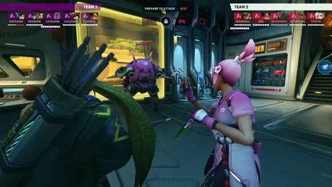 Dva Mains gotta be the most unhinged tank mains out there