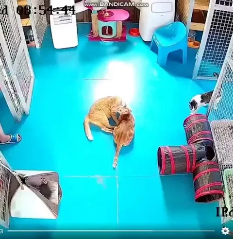 Scuse me, I wus sittin here!