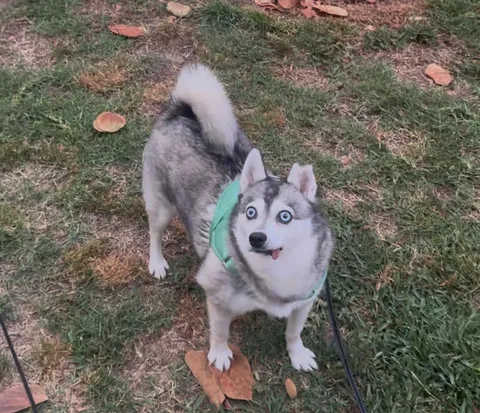 * breathing intensifies *