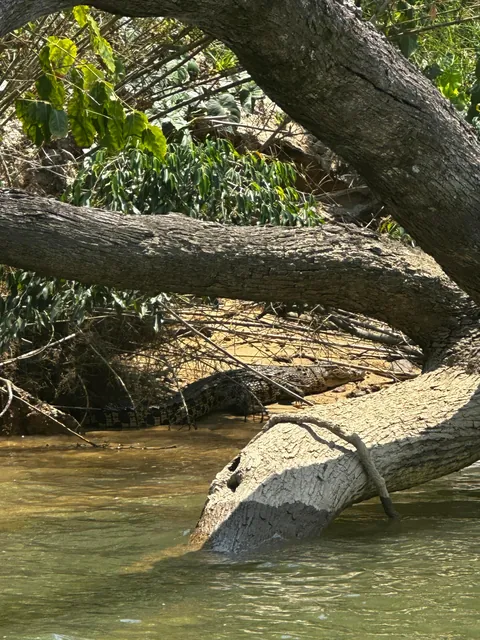 First time in Australia - it was a blast!