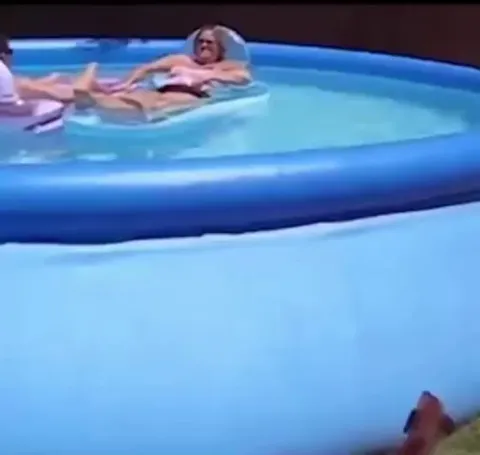 Clever doggo wants to hangout at the pool, but doesn't want to get wet