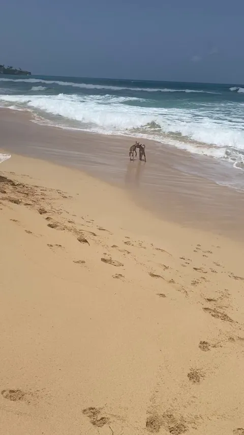 First time at a beach 🥹