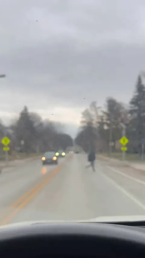 The turkey's trying to bring home dinner