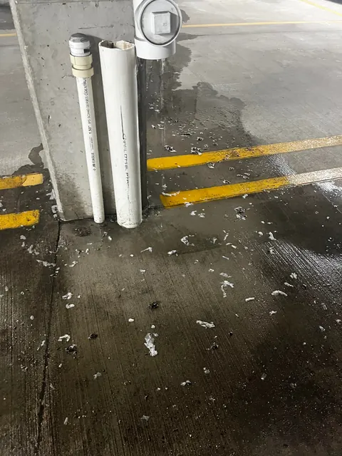 Found out why the basement stinks