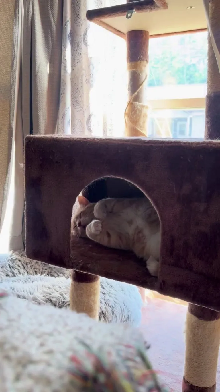 When it’s hot outside but you’re next to the AC