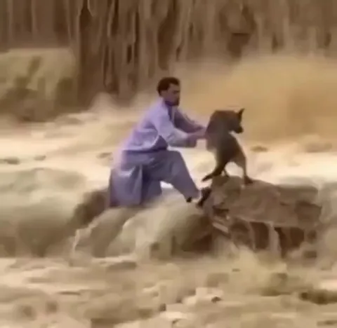 A kind-hearted man saving a dog from heavy flash flood water has gone viral.(sorry for music)