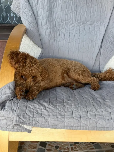 My smol loaf 1y ago &amp; now 🐻