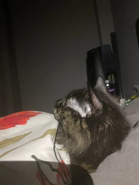 Need some prayers for my girl