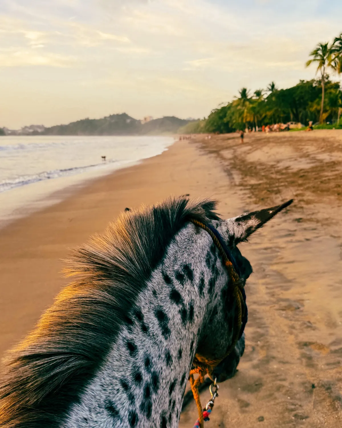 A little slice of pura Vida 📍 Costa Rica