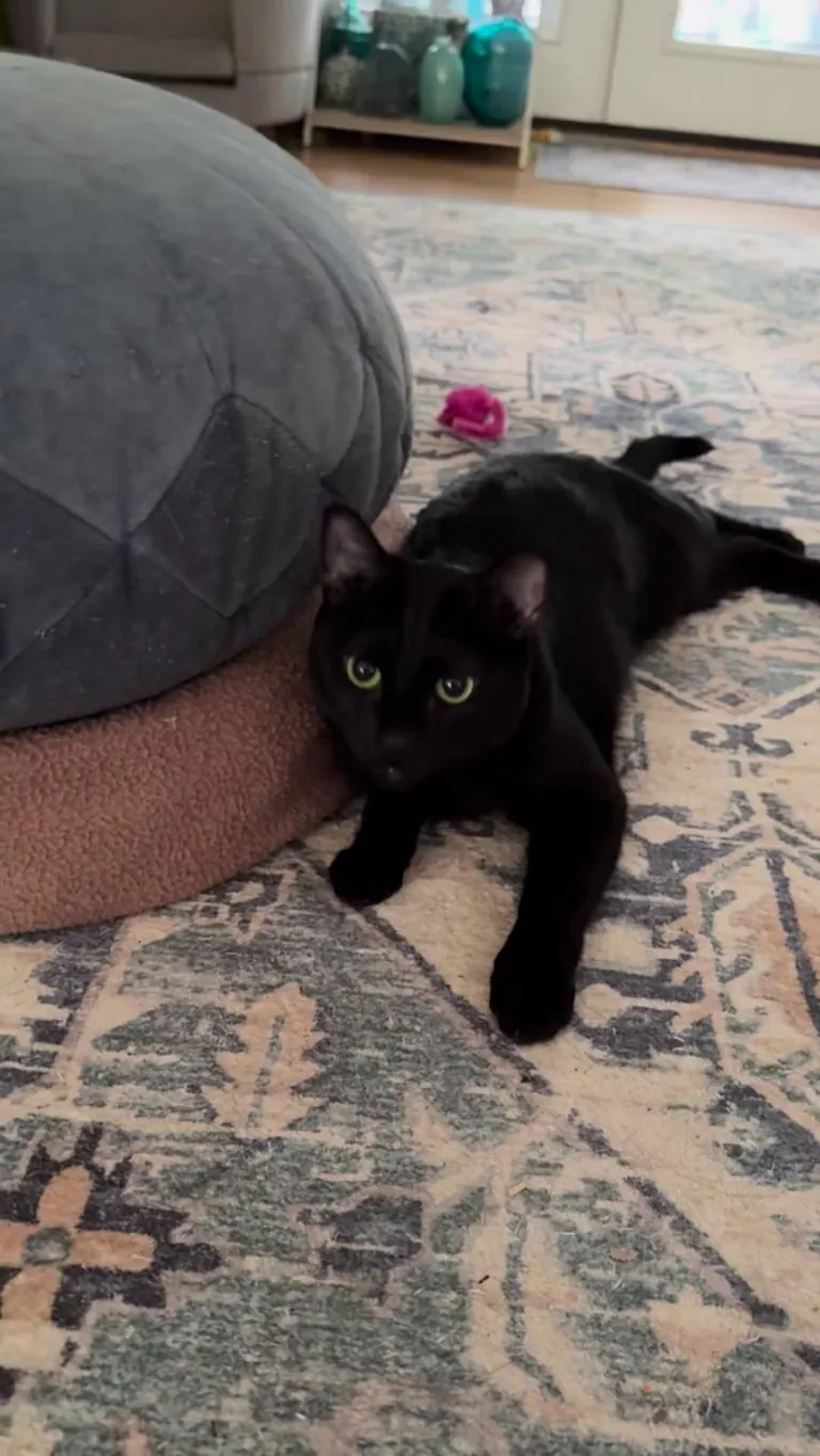 I love when Bonnie talks to me!