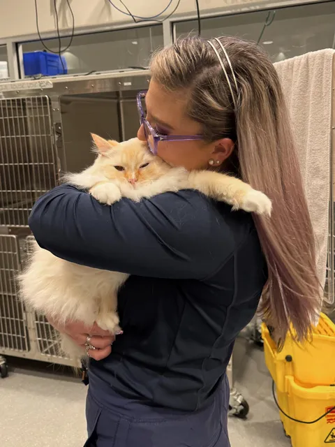 Four different coworkers found me on my lunch break to tell me I needed to meet this cat (they were right, I’m obsessed with him)