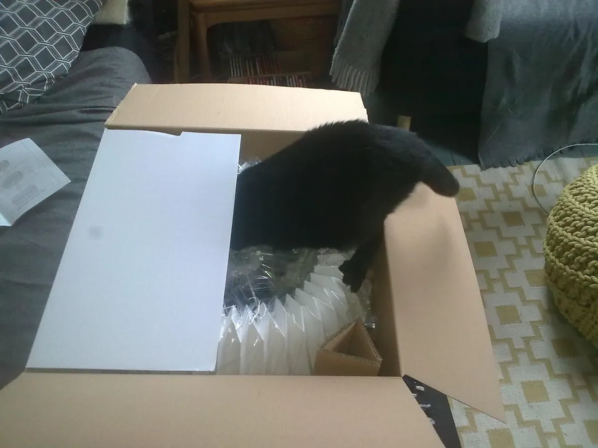 The Many Moods of Lola