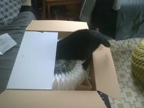 The Many Moods of Lola