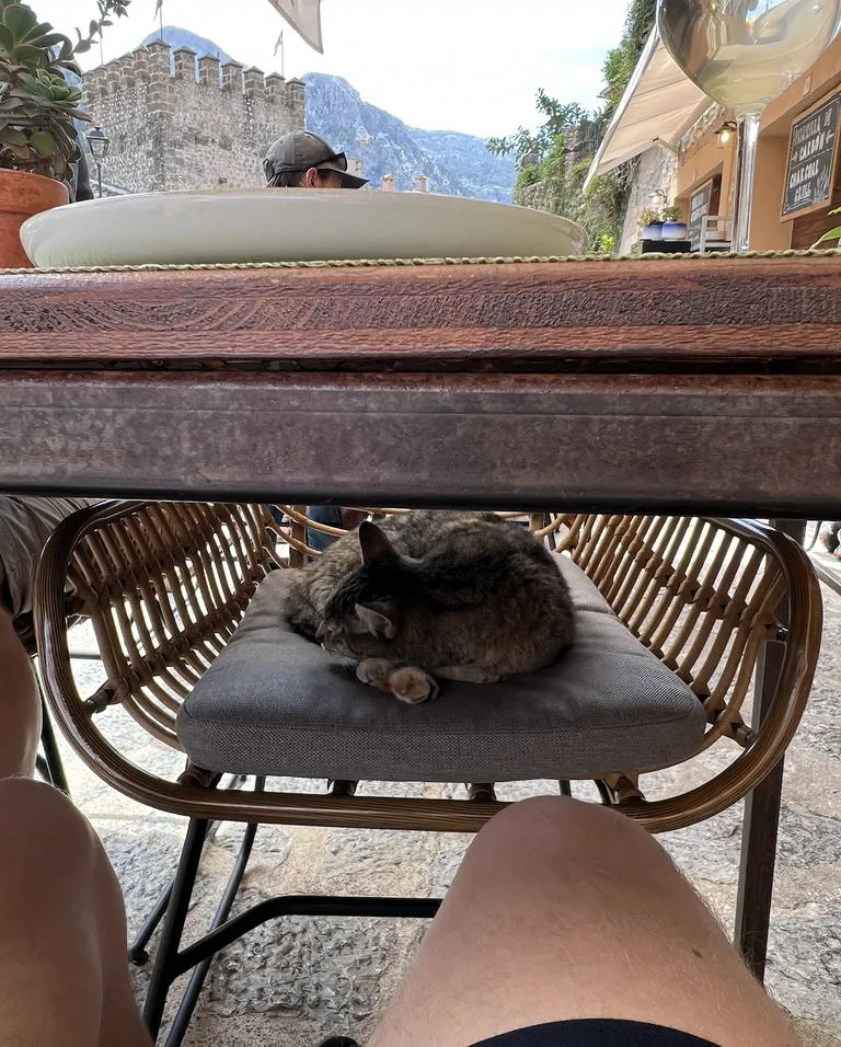 Sat down at a restaurant in Spain and realised I have a date on the other side