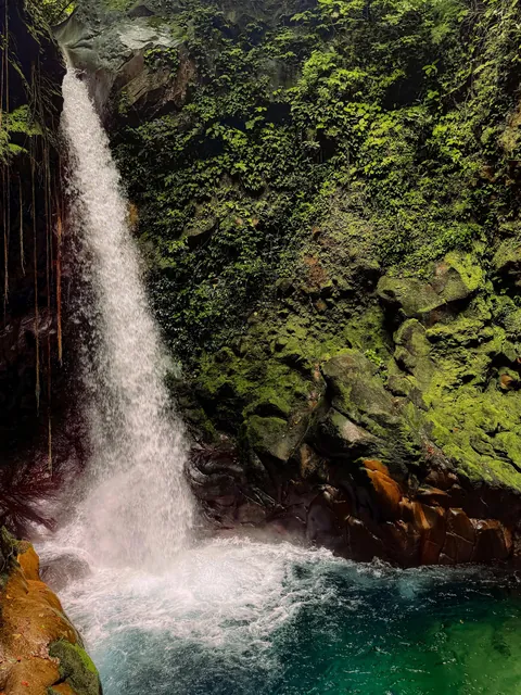 A little slice of pura Vida 📍 Costa Rica