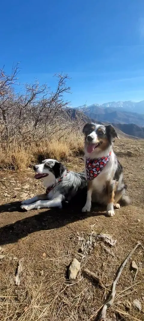 Happy Valentines day 💓 yesterday's hike ❤️ 💕 💗 💘 💖 🩷