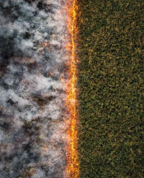Photographers reveals hidden perspectives only visible from above