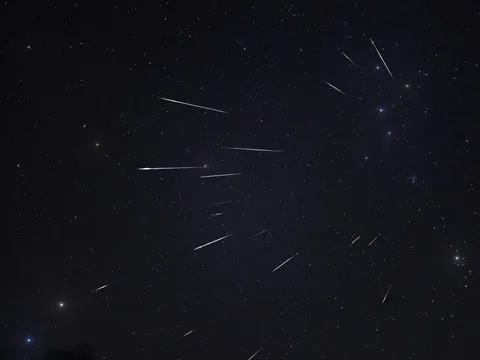 Perseid Meteor Shower