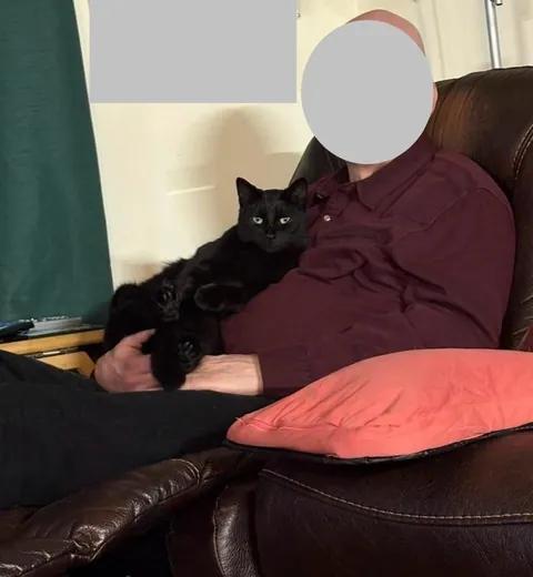 Toblerone was returned to the shelter for being “too needy”, but we love his neediness🖤