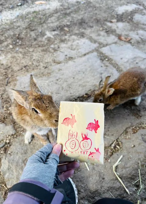 Japan in fall 🍁⛩️🚴‍♀️