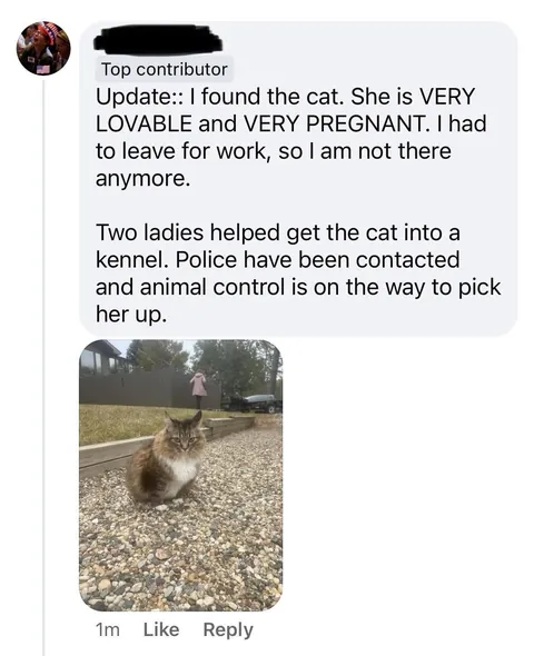 I witnessed a cat being dumped today.