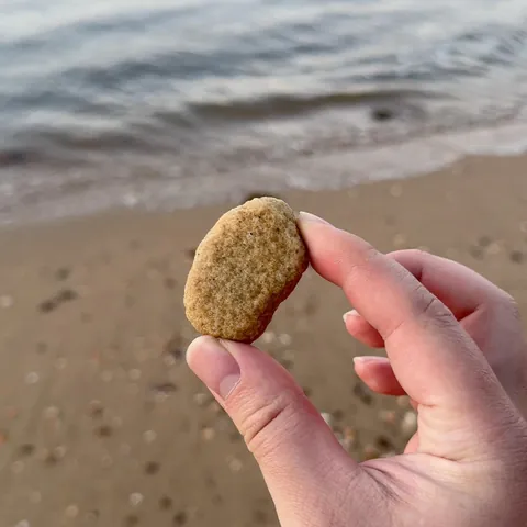 Found a rock that looks like a chicken nugget