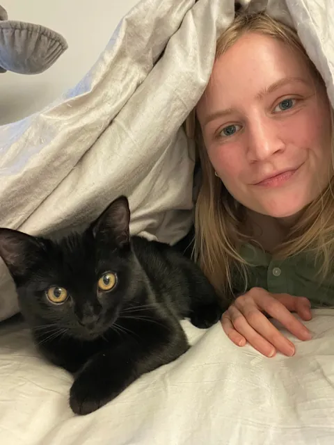 Happy National Black Cat Day to all of your babies 💕