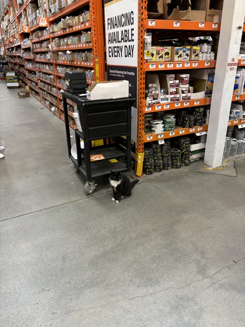 I saw the employee of the month at Home Depot yesterday
