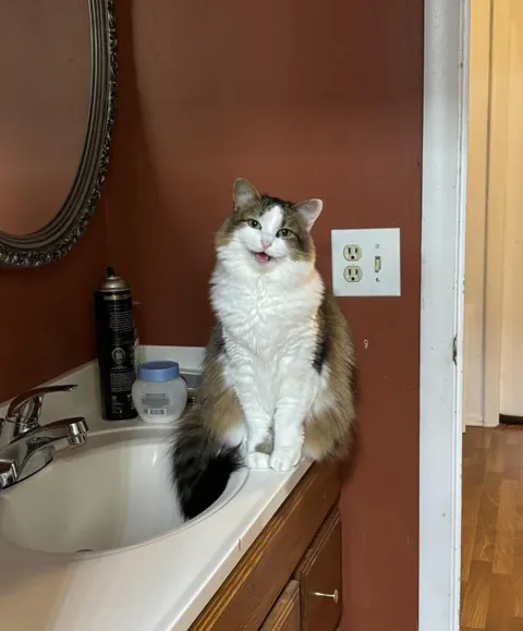 Look who's excited I'm homeee