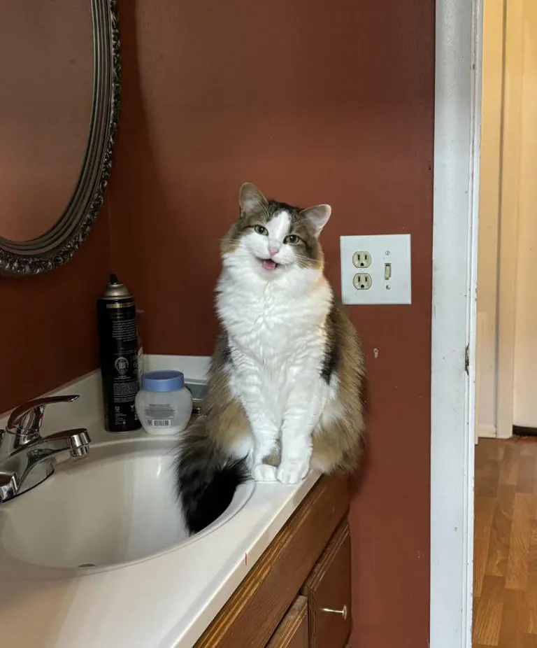 Look who's excited I'm homeee