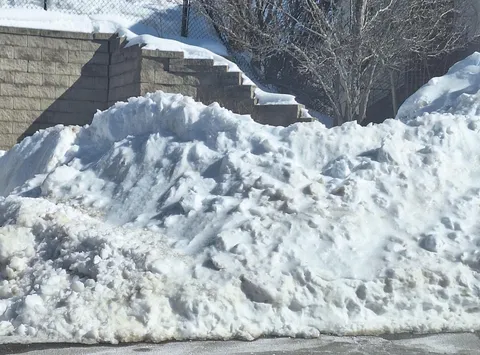 People are picking tomatoes and I'm over here like...