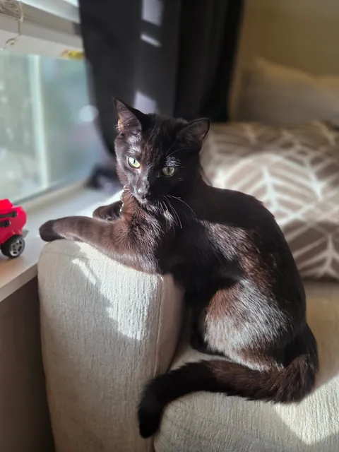 His eyes are so kind 🥹