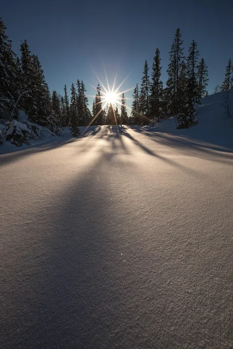 I am waist deep in the snow, but greeting the first rays of the early spring Sun! [OC] [Norway] [1667x2500]
