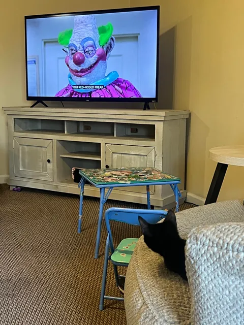 Just adopted Luci this afternoon. I’m obsessed with my baby.