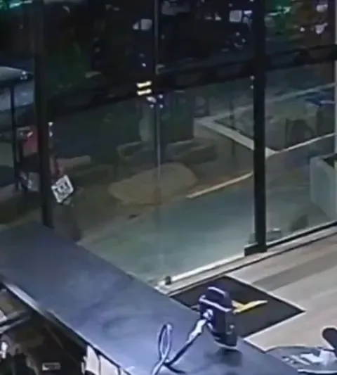 This cat being the absolute bro one can be!