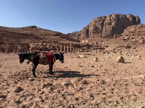 Jordan Trip November 2025