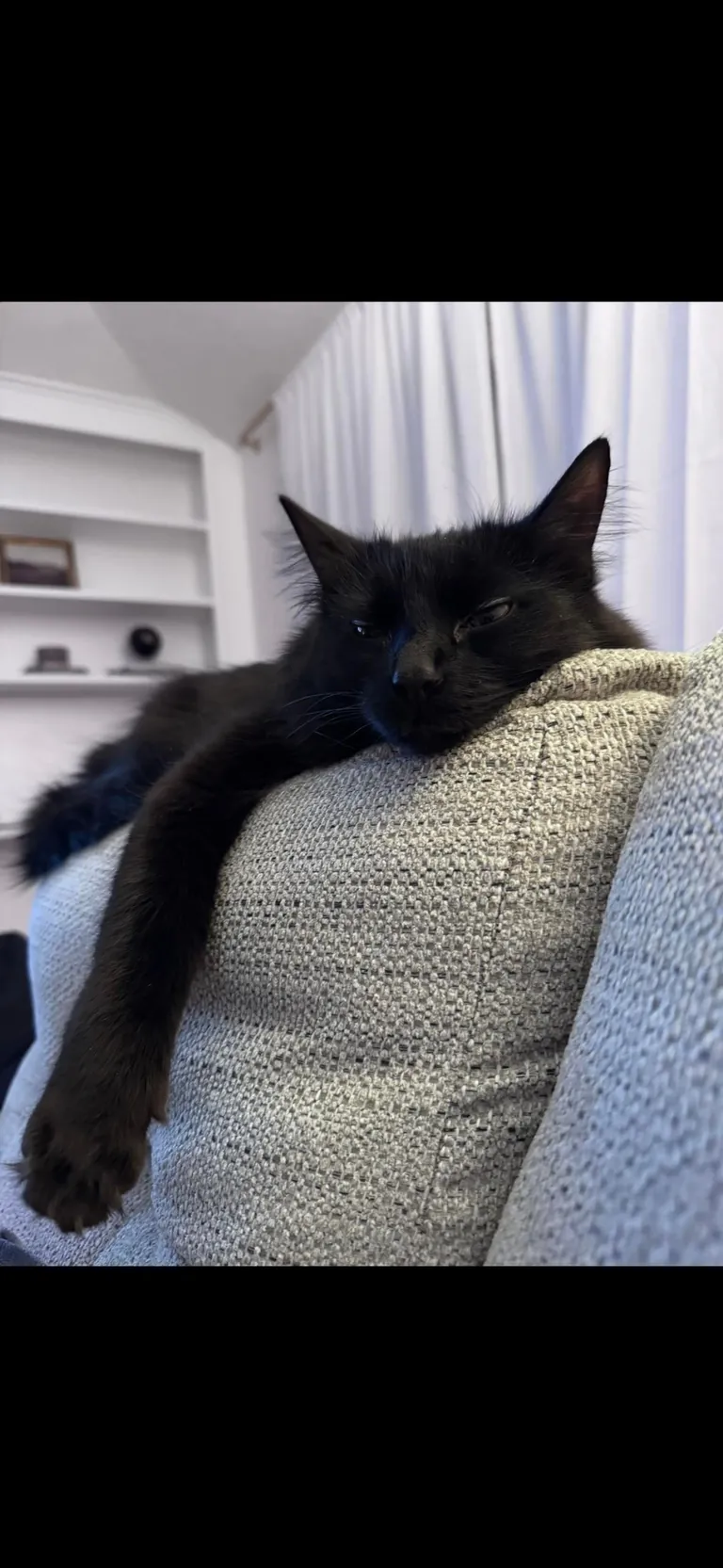 I’m abroad for ten days and I miss himmmmm