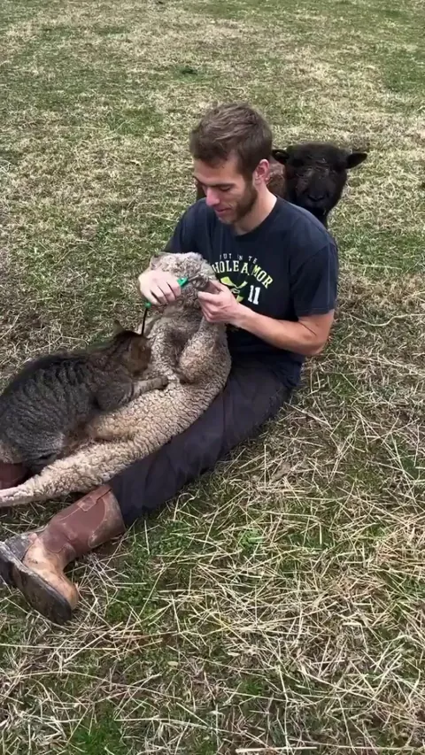 Getting a full treatment