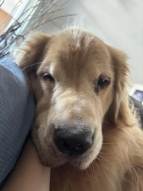 It’s his 4th birthday today!