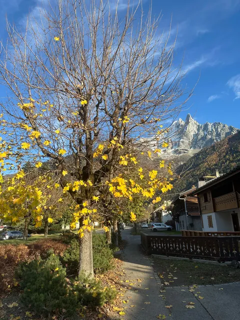 France.Chamonix-Mont-Blanc. Memories 🏔️