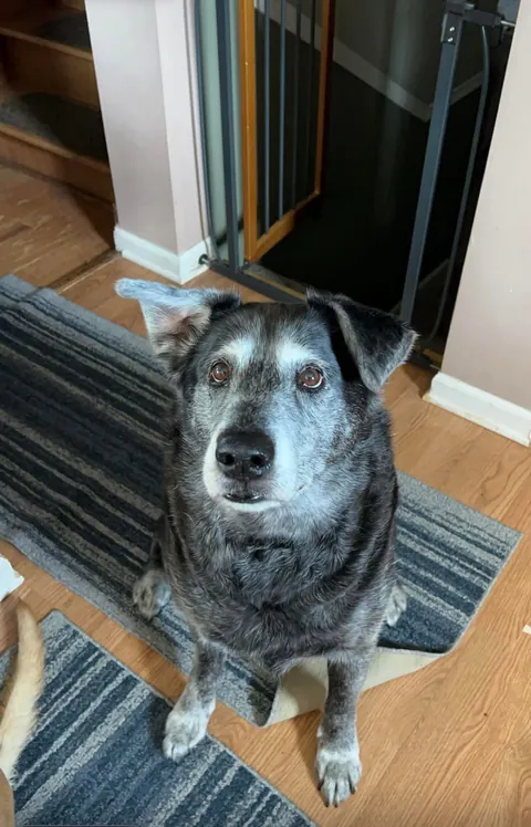 We’ve kissed all his color off the past 10 years