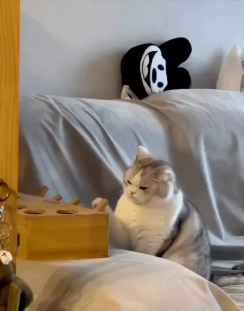 Big Baby doesn’t want to be seen playing, lol.