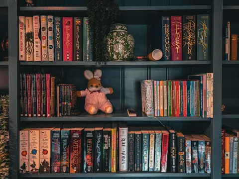 Our home library (+Living room built-ins)