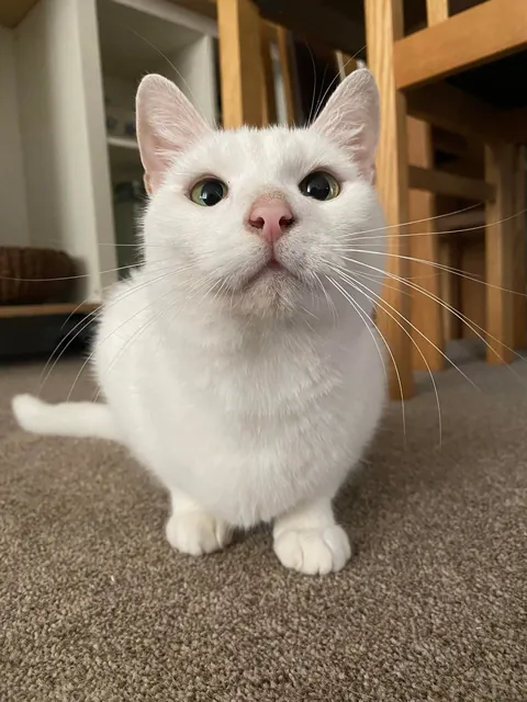 I hope my girl can brighten up someone’s day 🌞