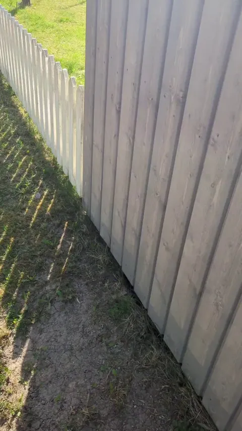 Surprising my dog after work